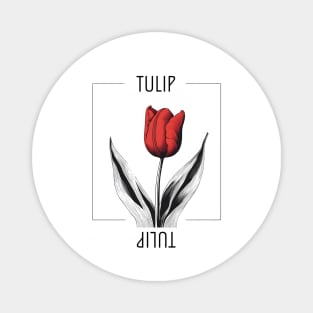 Red Tulip - minimal design Magnet